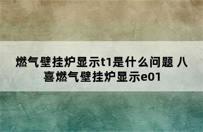 燃气壁挂炉显示t1是什么问题 八喜燃气壁挂炉显示e01